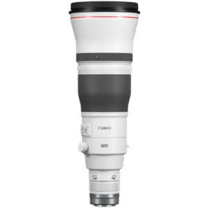 Canon RF 600mm f/4 L IS USM Lens