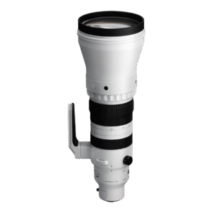 Sigma 300-600mm f/4 DG OS Sports Lens
