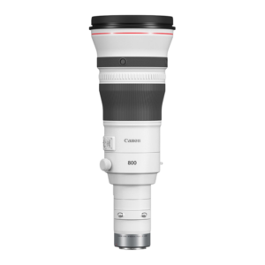 Canon RF 800mm f/5.6 L IS USM Lens