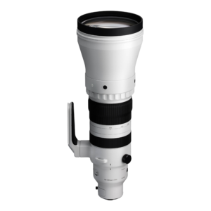 Sigma 300-600mm f/4 DG OS Sports Lens